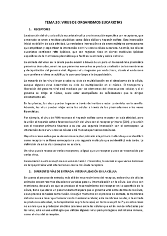 TEMA-20.pdf