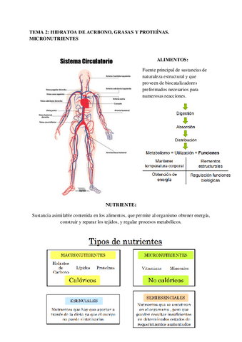 TEMA-2-educacion-para-la-salud.pdf