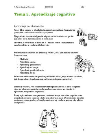 Tema-5.-Aprendizaje-cognitivo.pdf