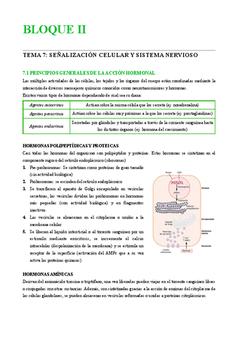 B2-SN.pdf