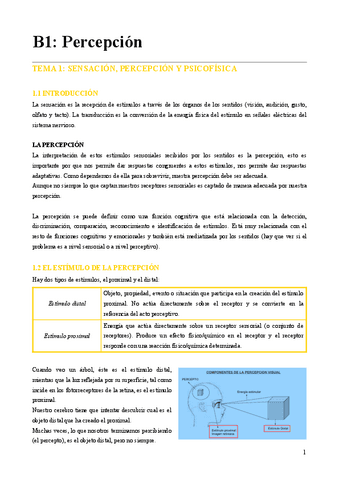 percepcion.pdf