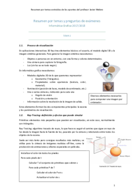 Resumen por temas y preguntas de exámenes IG 2018.pdf