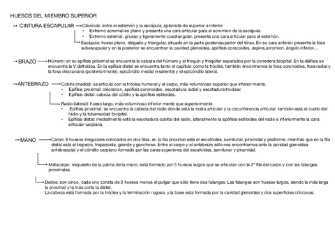 esquema-1.pdf