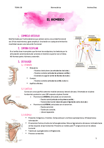 TEMA-3B-EL-HOMBRO.pdf