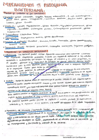 Resumenes-y-Reportes-de-Practica-Lab-Micro.pdf