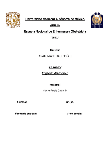 Irrigación del corazón.pdf