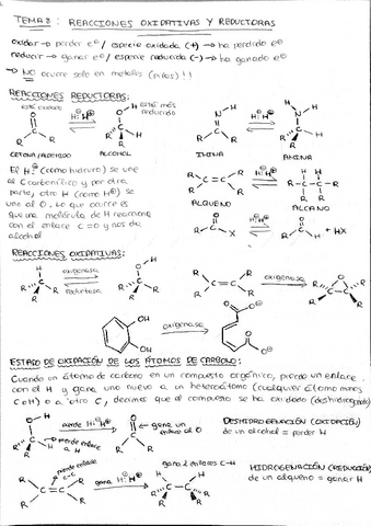 Quimica-organica-tema-8.pdf