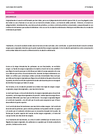 Corazon.pdf
