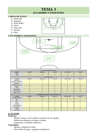TEMA-3-JUGADORES-Y-POSICIONES.pdf