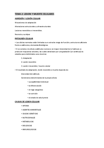 TEMAS MAGISTRAL ANATOMIA-PATOLOGICA.pdf
