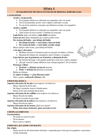 TEMA-5-FUNDAMENTOS-DEFENSIVOS.pdf