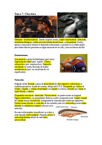 T7.-CHORDATA.pdf