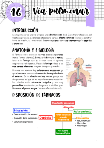 Tema-16.-Via-pulmonar.pdf
