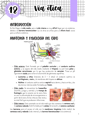 Tema-18.-Via-otica.pdf