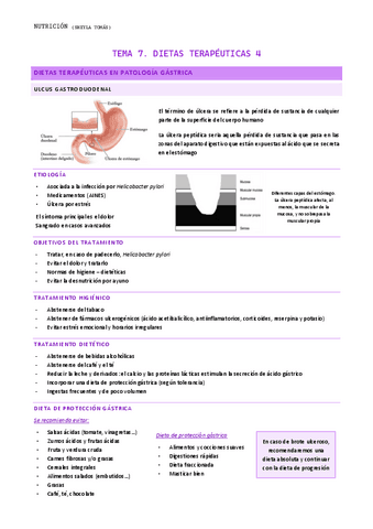 TEMA-7.-Dietas-terapeuticas-4.pdf