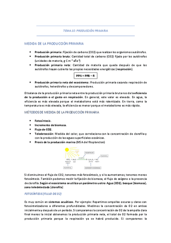 TEMA-10-PRODUCCION-PRIMARIA.pdf