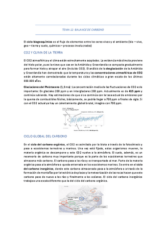TEMA-12-BALANCE-DE-CARBONO.pdf