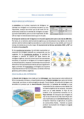 TEMA-13-CICLO-DE-NITROGENO-FOSFORO-Y-AZUFRE.pdf