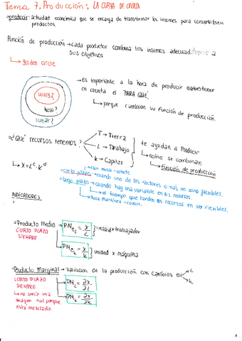 Tema 7. La curva de oferta. Producción.pdf