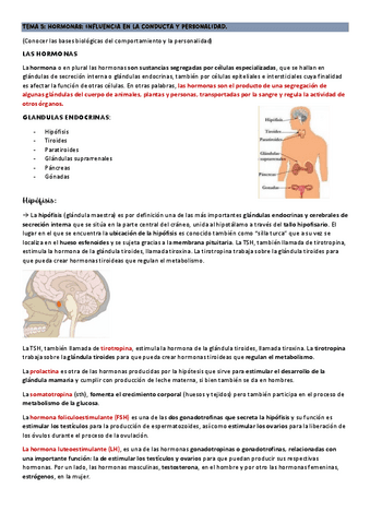 T5-PERSONALIDAD.pdf