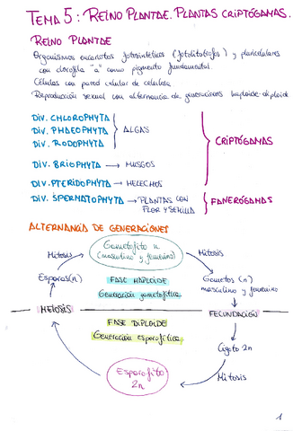 Tema-5-y-6-Biologia-II.pdf