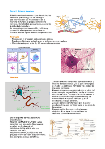 Tema-2-Fisio.pdf