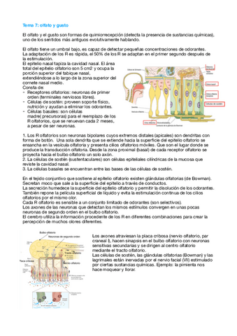 Tema-7-Fisio.pdf