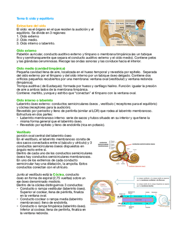 Tema-6-Fisio.pdf