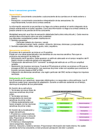 Tema-4-Fisio.pdf
