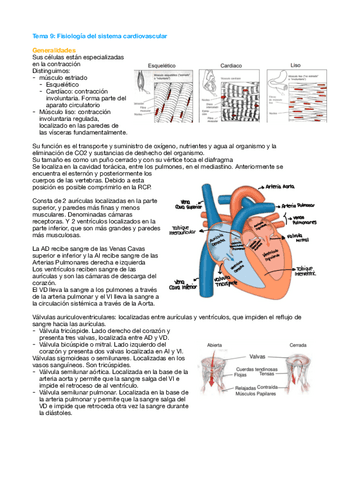 Tema-9-Fisio.pdf
