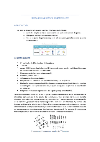 TEMA-1-ORGANIZACION-DEL-GENOMA-HUMANO.pdf