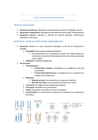TEMA-2-ALTERACIONES-CROMOSOMICAS.pdf