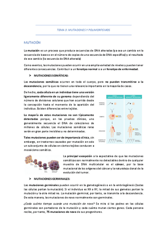 TEMA-3-MUTACIONES-Y-POLIMORFISMOS.pdf