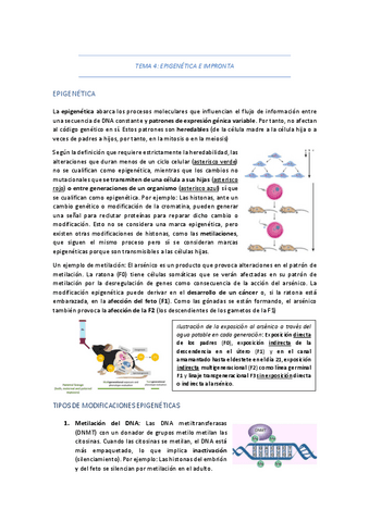 TEMA-4-EPIGENETICA-E-IMPRONTA.pdf