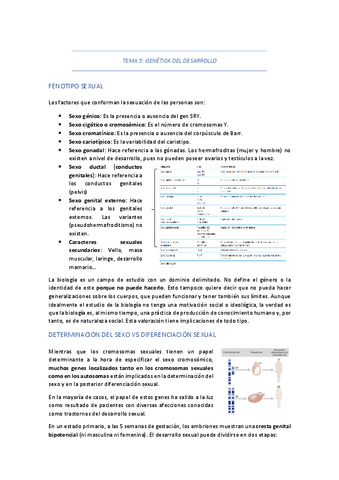 TEMA-5-GENETICA-DEL-DESARROLLO.pdf