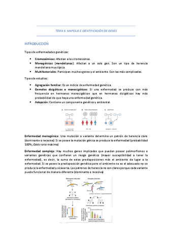 TEMA-6-MAPEAJE-E-IDENTIFICACION-DE-GENES.pdf