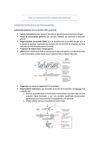TEMA-10-TRATAMIENTO-DE-ENFERMEDADES-GENETICAS.pdf
