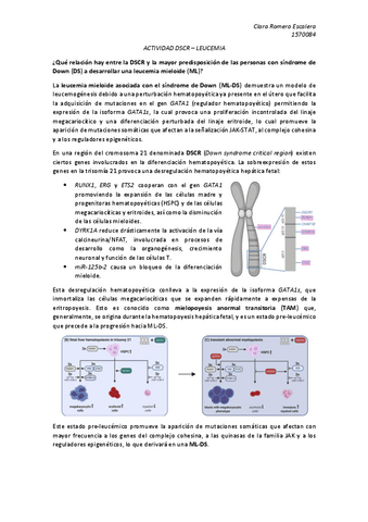 DSCR-LEUCEMIA.pdf