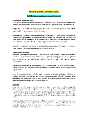 SEGURIDAD-PUBLICA-Y-PRIVADA-2o-PARCIAL.pdf