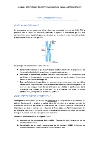 TEMA-1-INTRODUCCION-GENERAL.pdf