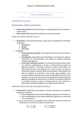 TEMA-6-FORMAS-PERMANENTES.pdf