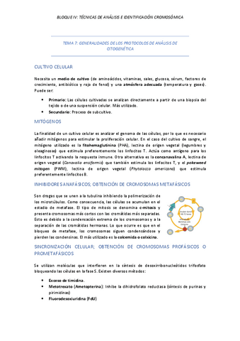 TEMA-7-GENERALIDADES-DE-LOS-PROTOCOLOS-DE-ANALISIS-DE-CITOGENETICA.pdf