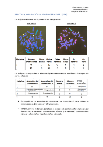 Exercici4.-RomeroEscaleraClaraGrup1.pdf