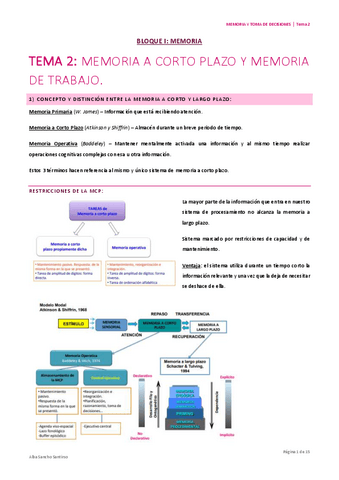 Memoria-y-toma-de-decisiones-Tema-2-Alba-Sancho.pdf