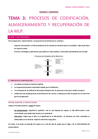 Memoria-y-toma-de-decisiones-Tema-3-Alba-Sancho.pdf