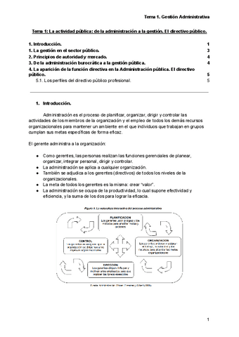 Tema-1-GA.pdf