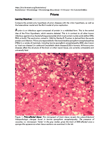 Prions580c527a0cff5fd95610687c53cf226e.pdf