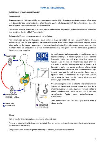 t13-parasito.pdf
