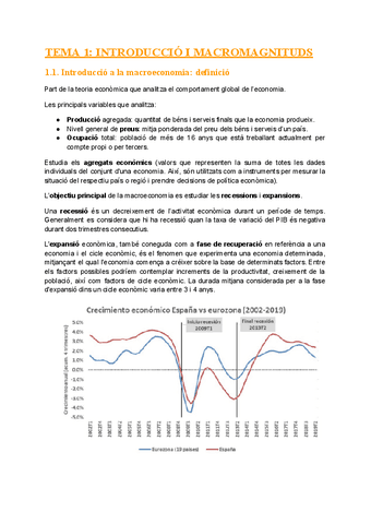 TEMA-1-INTRODUCCIO-I-MACROMAGNITUDS.pdf