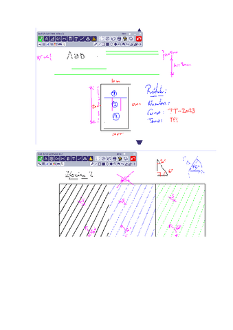 Desarrollo-TP1-TT-2023.pdf